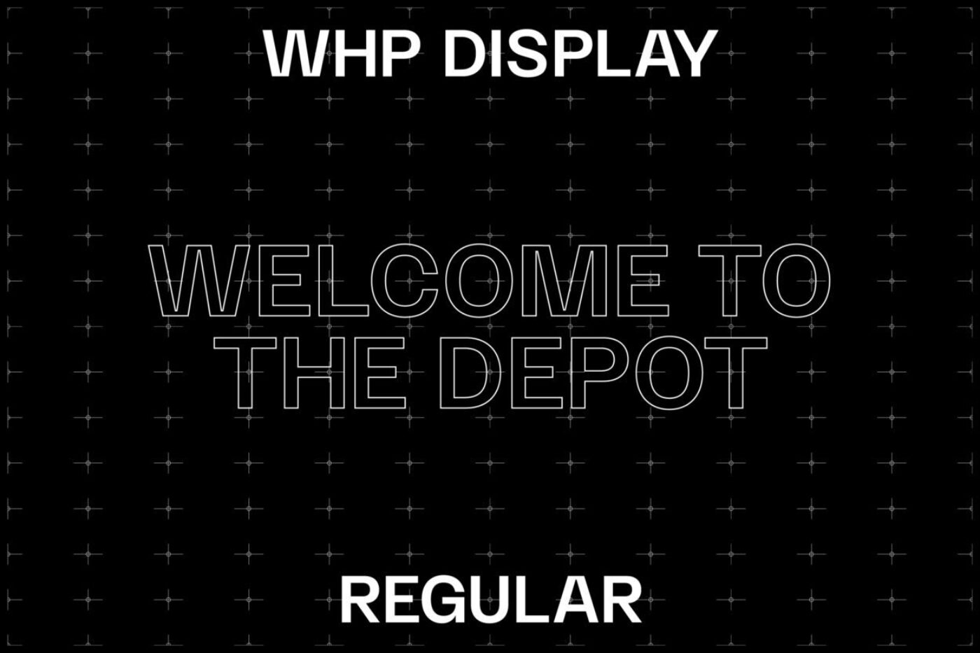WHP TYPE 02 1250x833