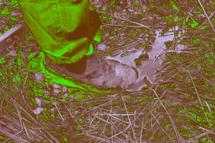 01 BB MG 5881 CR Auto