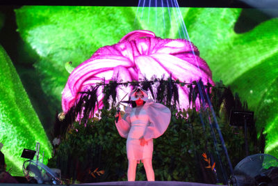 Bjork 5